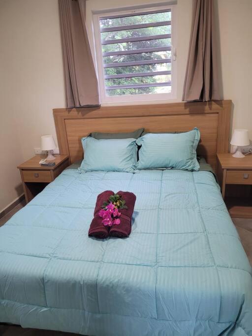 Local Willibrord Lodge Willibrordus Экстерьер фото